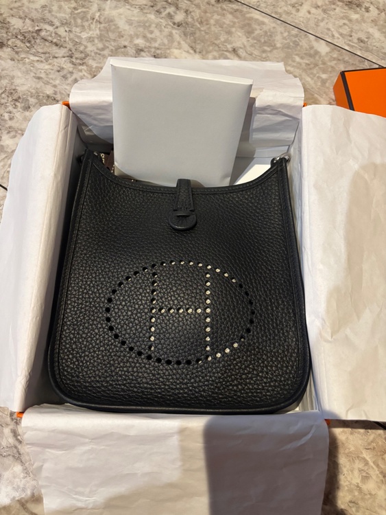 エヴリン tpm（ブランドバッグ）の商品画像 - 査定依頼日：2026年4月1日 - 最高査定価格：390,000円