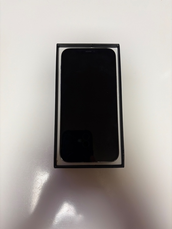 iPhone iPhone 12 Pro 256GB au（スマホ）の商品画像 - 査定依頼日：2026年6月16日 - 最高査定価格：29,000円