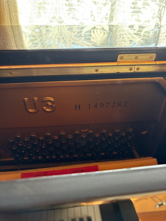 U3H 1497282（ピアノ・楽器・PA機材）の商品画像 - 査定依頼日：2025年10月10日 - 最高査定価格：3,000円