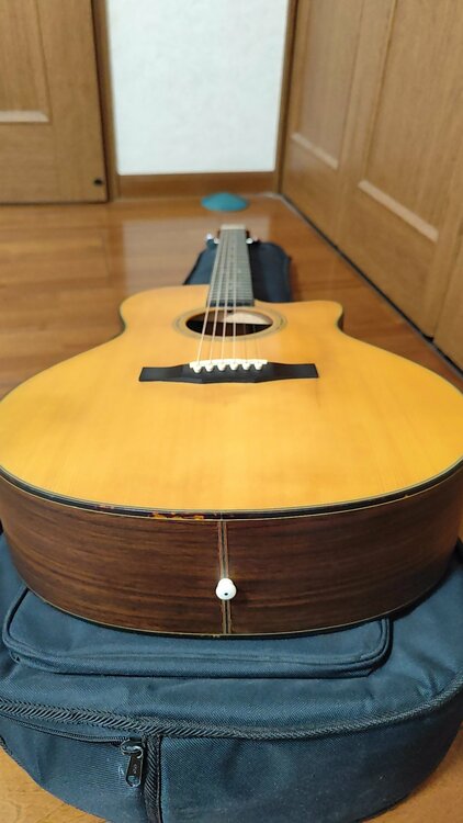 morris s-40（ピアノ・楽器・PA機材）の商品画像 - 査定依頼日：2026年4月14日 - 最高査定価格：5,000円