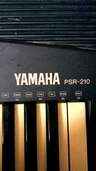 PSR210（ピアノ・楽器・PA機材）の商品画像 - 査定依頼日：2025年2月2日 - 最高査定価格：100円