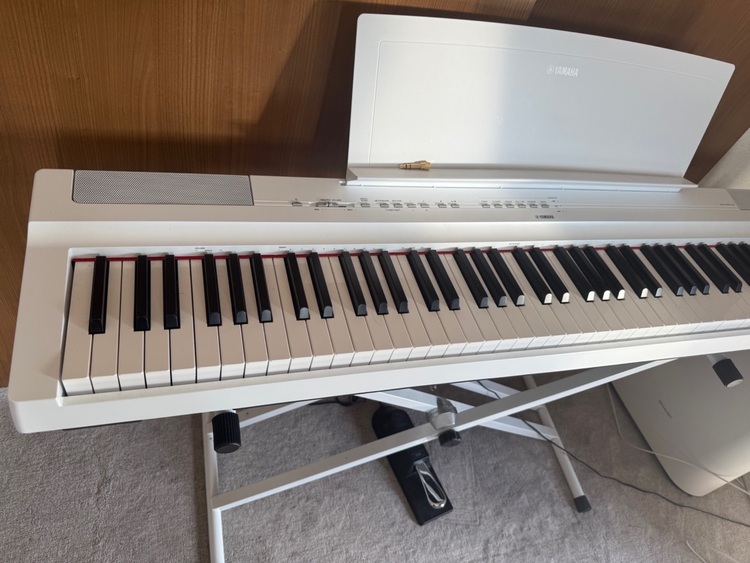 P125（ピアノ・楽器・PA機材）の商品画像 - 査定依頼日：2025年9月25日 - 最高査定価格：8,000円