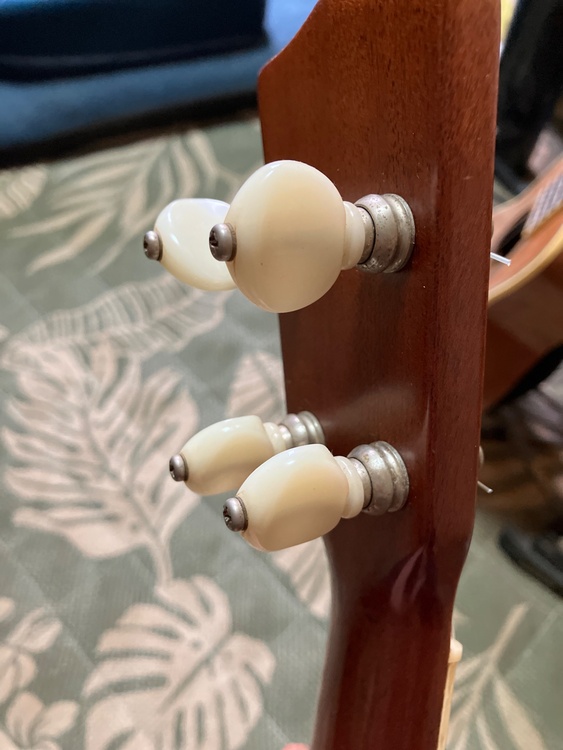 Kona Ukulele  model cs-5k  no.2105（ピアノ・楽器・PA機材）の商品画像 - 査定依頼日：2026年4月22日 - 最高査定価格：15,000円