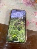 iphone14promax（スマホ）の商品画像 - 査定依頼日：2026年2月28日 - 最高査定価格：84,000円