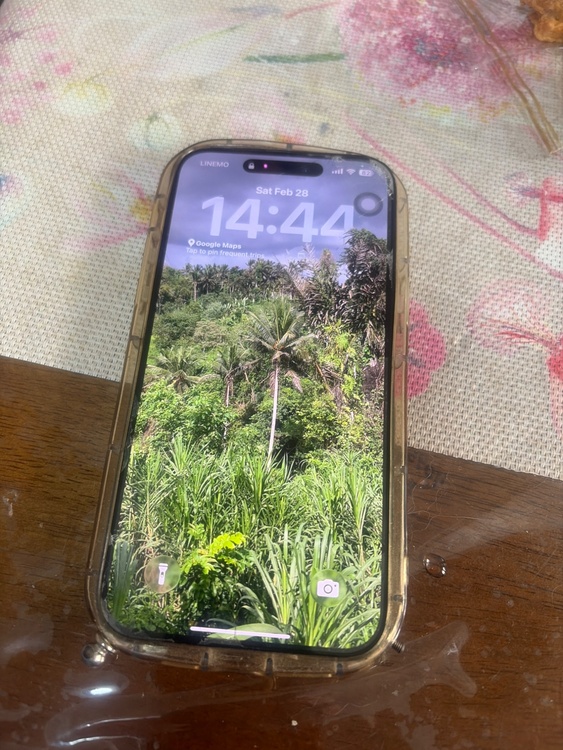 iphone14promax（スマホ）の商品画像 - 査定依頼日：2026年2月28日 - 最高査定価格：84,000円