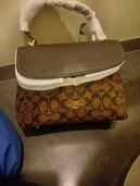 その他 コーチ （ブランドバッグ）の商品画像 - 査定依頼日：2026年1月24日 - 最高査定価格：4,000円