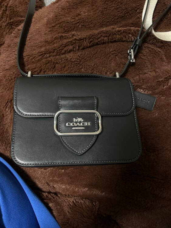 その他 コーチ （ブランドバッグ）の商品画像 - 査定依頼日：2025年3月4日 - 最高査定価格：5,000円