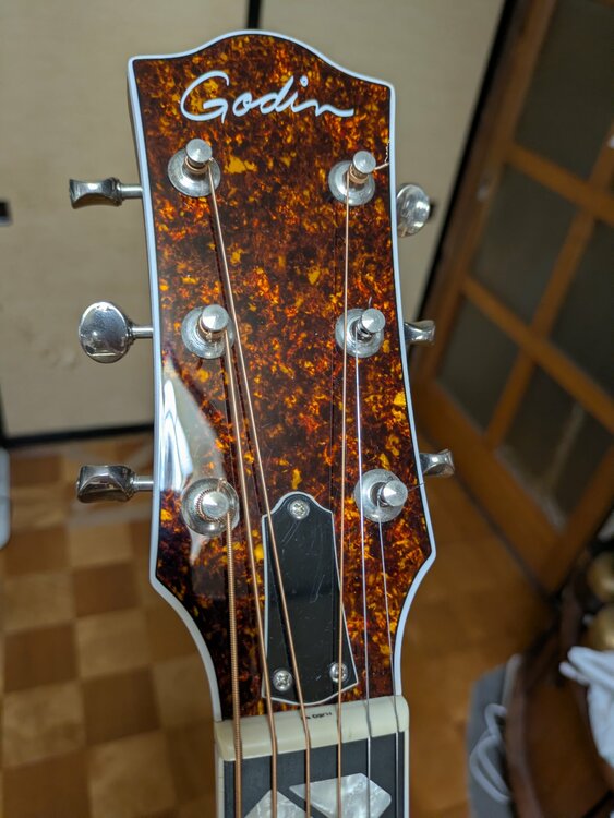 Godin metropolis LTD havanaburst　HG EQ（ピアノ・楽器・PA機材）の商品画像 - 査定依頼日：2026年8月26日 - 最高査定価格：60,000円