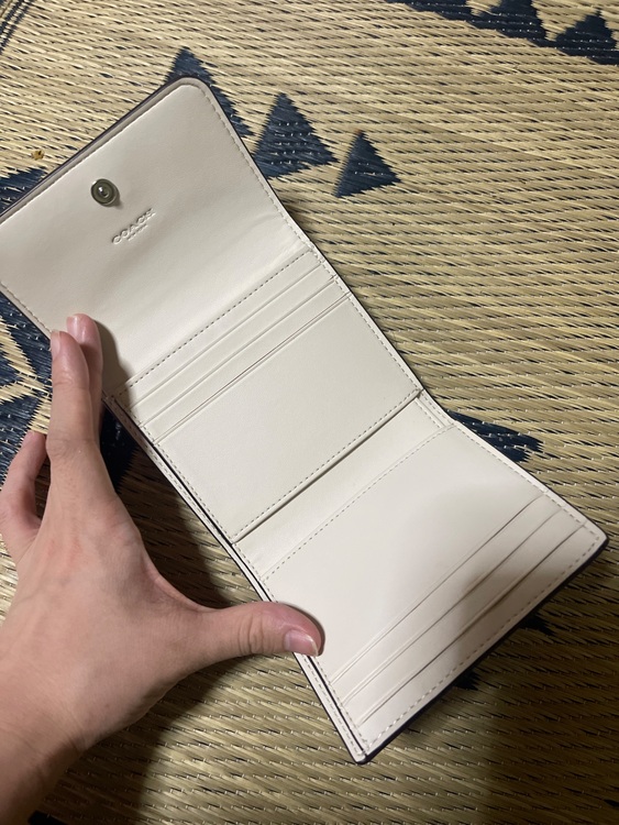 その他 コーチ （ブランドバッグ）の商品画像 - 査定依頼日：2025年6月23日 - 最高査定価格：3,000円