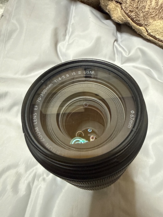 canon ef 70-300mm f/4-5.6 is ii usm cランク（カメラ）の商品画像 - 査定依頼日：2026年9月17日 - 最高査定価格：40,000円
