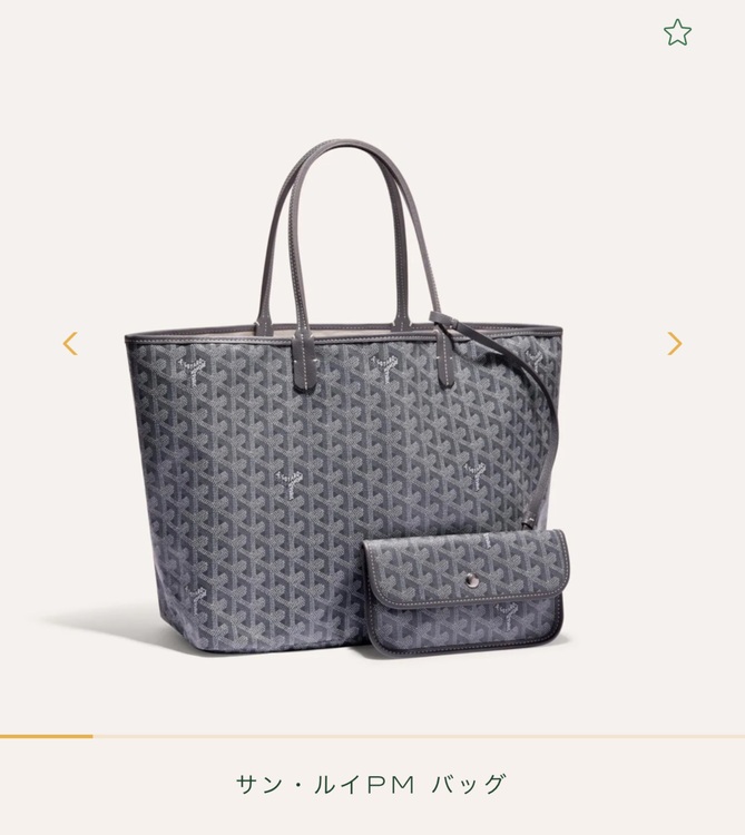 サンルイPM（ブランドバッグ）の商品画像 - 査定依頼日：2025年10月7日 - 最高査定価格：250,000円