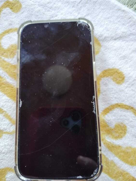 iPhone 13 128GB Softbank（スマホ）の商品画像 - 査定依頼日：2026年2月15日 - 最高査定価格：20,000円