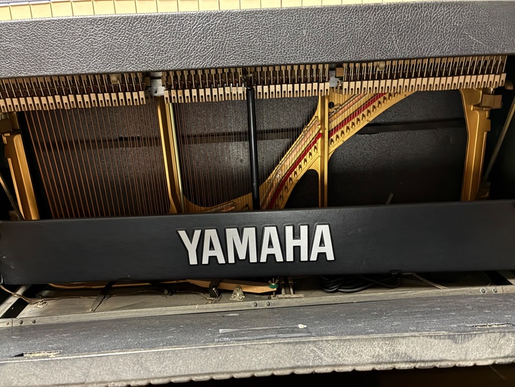 CP60M（ピアノ・楽器・PA機材）の商品画像 - 査定依頼日：2026年1月9日 - 最高査定価格：10,000円