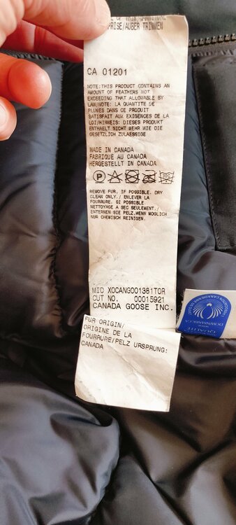 カナダグース　ジャスパー（古着・ファッション）の商品画像 - 査定依頼日：2025年12月20日 - 最高査定価格：20,000円