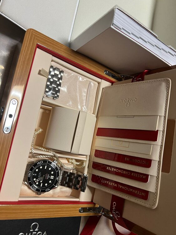 オメガ シーマスター （高級時計）の商品画像 - 査定依頼日：2025年4月12日 - 最高査定価格：630,000円