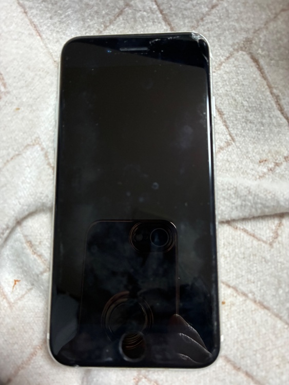 iPhone SE (第 2 世代) 64GB Softbank（スマホ）の商品画像 - 査定依頼日：2026年3月10日 - 最高査定価格：3,000円