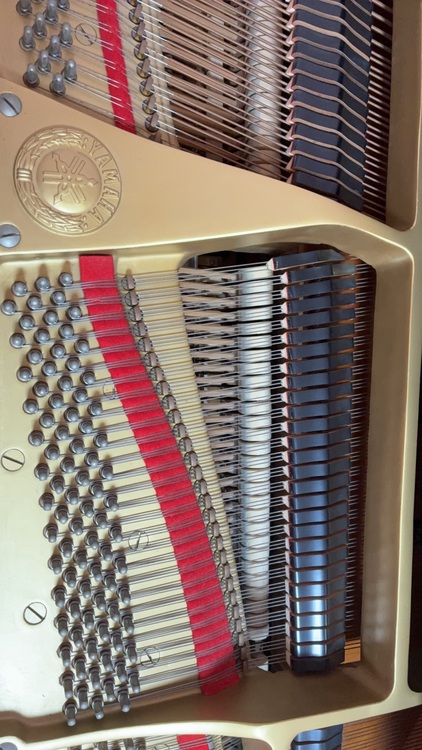 C3（ピアノ・楽器・PA機材）の商品画像 - 査定依頼日：2025年11月9日 - 最高査定価格：300,000円