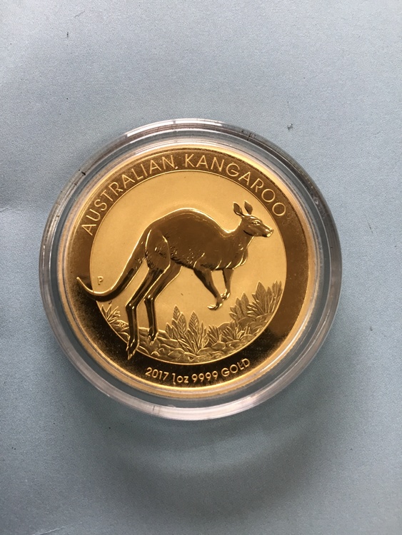 カンガルー金貨2017年1オンス（金・貴金属）の商品画像 - 査定依頼日：2021年7月5日 - 最高査定価格：199,000円