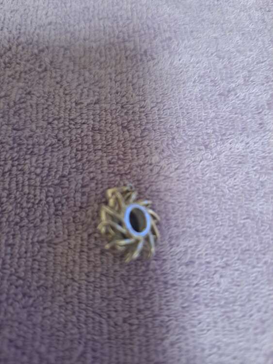 サファイアトップス（宝石）の商品画像 - 査定依頼日：2025年3月2日 - 最高査定価格：35,000円