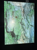 ロレックス デイトジャスト 16234/Y41014（高級時計）の商品画像 - 査定依頼日：2025年12月4日 - 最高査定価格：1,050,000円