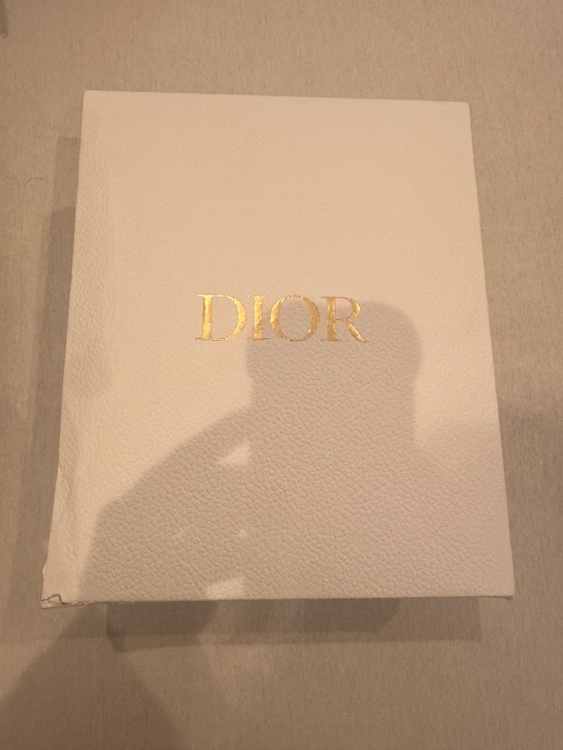 サドルバック（ブランドバッグ）の商品画像 - 査定依頼日：2026年4月3日 - 最高査定価格：275,000円