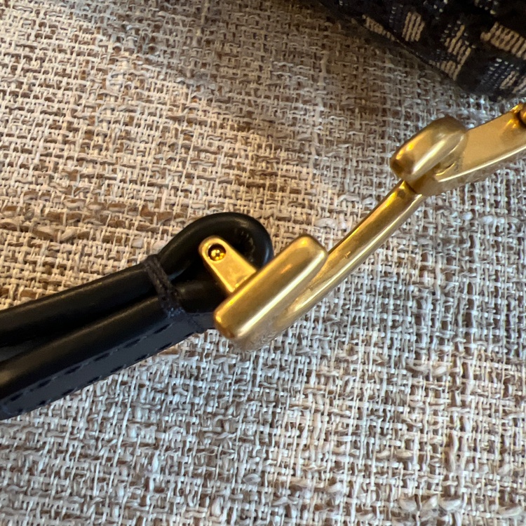 サドルバッグ（ブランドバッグ）の商品画像 - 査定依頼日：2026年4月7日 - 最高査定価格：260,000円