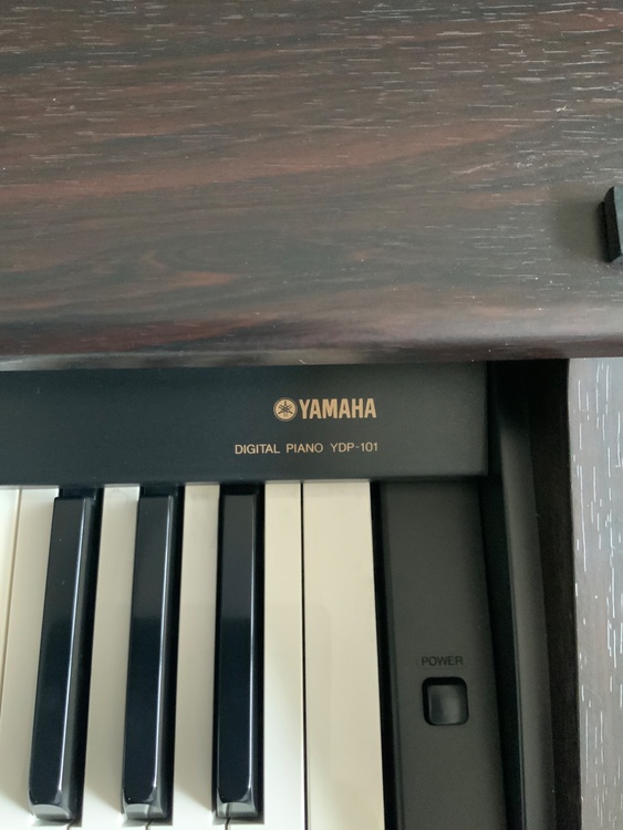 Digital Piano YDPー101（ピアノ・楽器・PA機材）の商品画像 - 査定依頼日：2026年3月23日 - 最高査定価格：5,000円