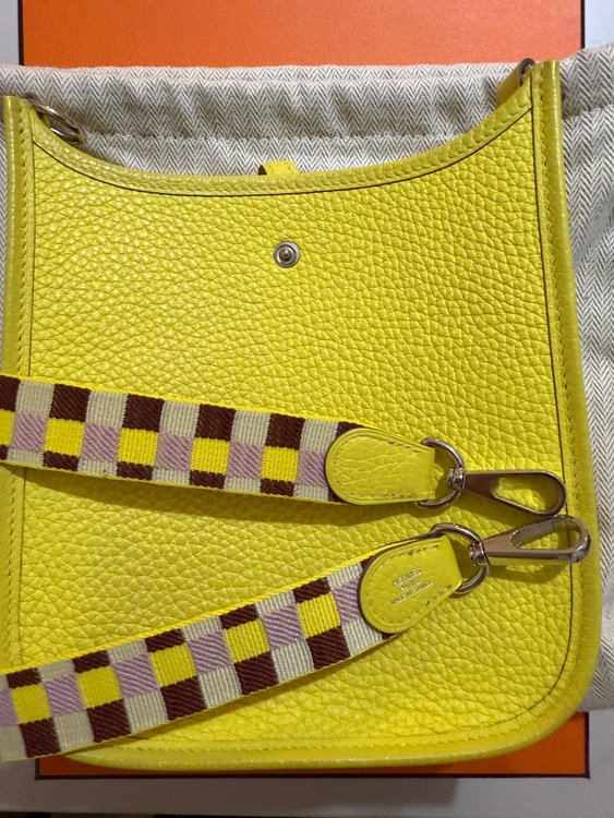 エブリンTPM アマゾーヌ　ライム　シルバー金具（ブランドバッグ）の商品画像 - 査定依頼日：2026年4月8日 - 最高査定価格：320,000円