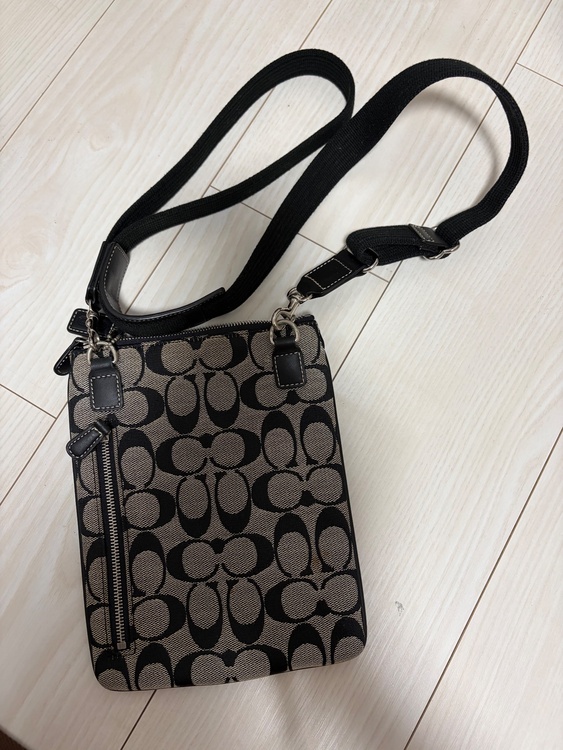 肩掛けショルダー（ブランドバッグ）の商品画像 - 査定依頼日：2025年12月10日 - 最高査定価格：3,000円