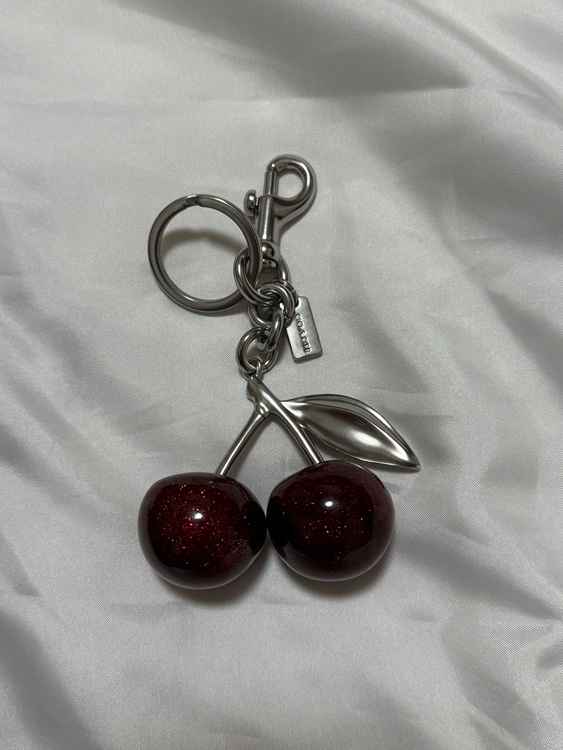 チェリーバックチャーム  縦12.5cm x 横7.5cm No. 77840（ブランド財布・小物）の商品画像 - 査定依頼日：2025年7月28日 - 最高査定価格：1,000円