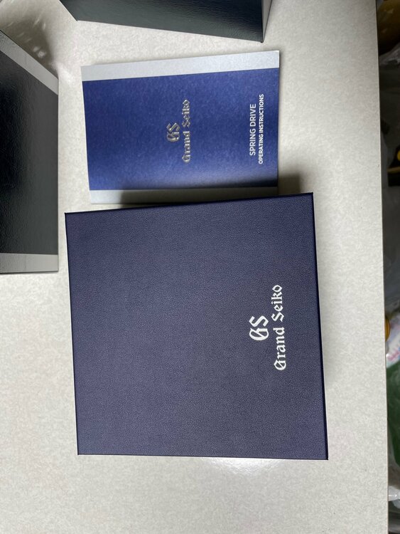 セイコー スプリントドライブ SBGA101（高級時計）の商品画像 - 査定依頼日：2026年2月10日 - 最高査定価格：280,000円