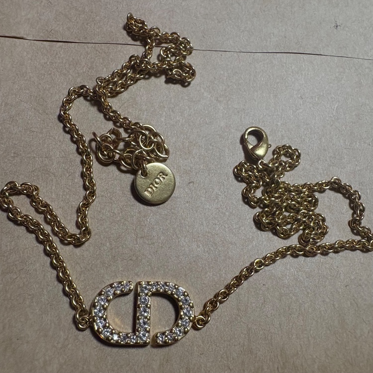 ディオール その他 （ブランドバッグ）の商品画像 - 査定依頼日：2026年3月20日 - 最高査定価格：25,000円