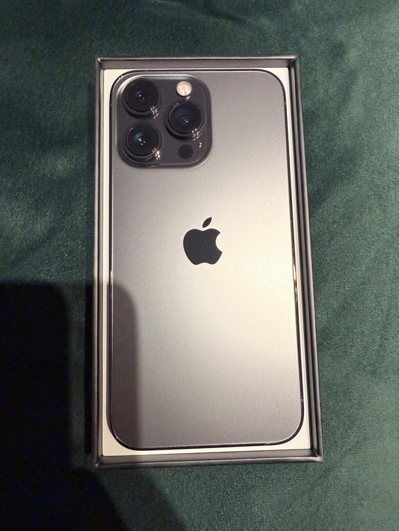iPhone iPhone 13 Pro 256GB docomo（スマホ）の商品画像 - 査定依頼日：2026年6月15日 - 最高査定価格：55,000円