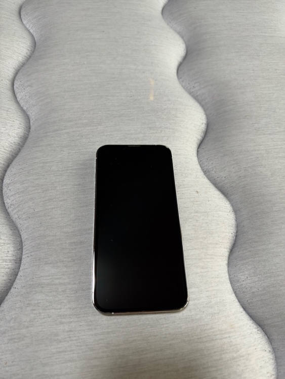 iPhone13Pro（スマホ）の商品画像 - 査定依頼日：2026年9月24日 - 最高査定価格：44,500円