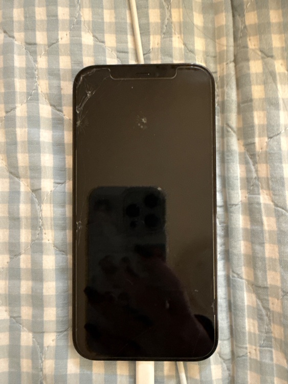 iPhone 12 Pro 256GB docomo（スマホ）の商品画像 - 査定依頼日：2026年3月29日 - 最高査定価格：31,000円