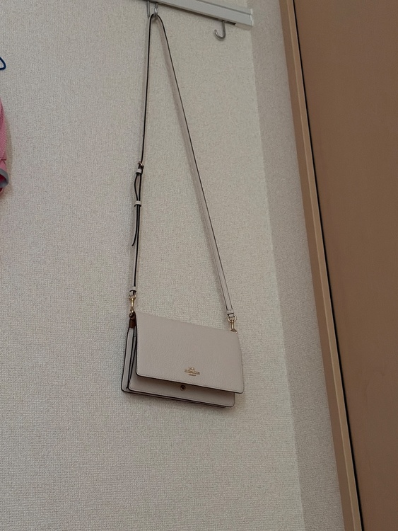 その他 コーチ （ブランドバッグ）の商品画像 - 査定依頼日：2026年2月21日 - 最高査定価格：100,000円