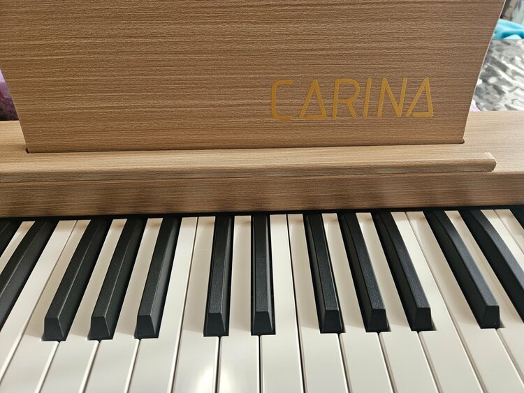 LF-0088 carina（ピアノ・楽器・PA機材）の商品画像 - 査定依頼日：2026年4月20日 - 最高査定価格：100,000円