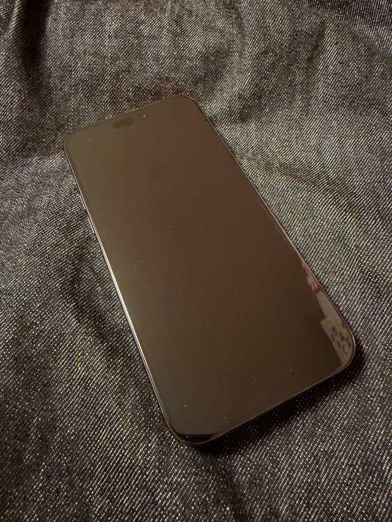 iPhone iPhone 15 Pro Max 256GB au（スマホ）の商品画像 - 査定依頼日：2026年10月15日 - 最高査定価格：109,500円