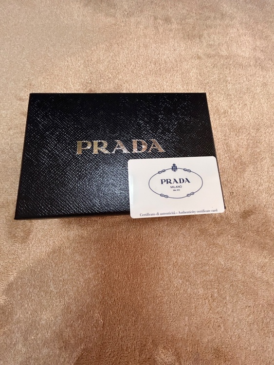 プラダ  （ブランドバッグ）の商品画像 - 査定依頼日：2026年2月4日 - 最高査定価格：22,000円
