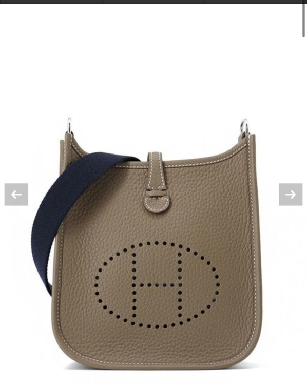 エヴリンTPM エトゥープ（ブランドバッグ）の商品画像 - 査定依頼日：2025年10月14日 - 最高査定価格：620,000円