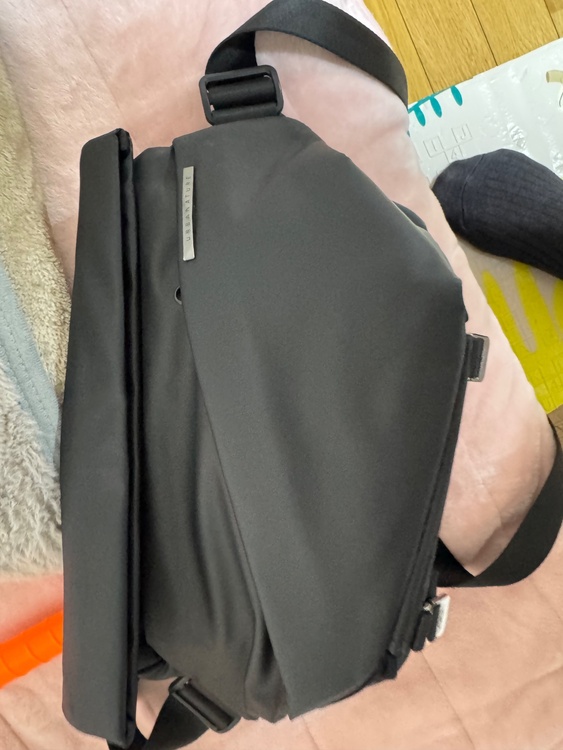 その他 その他 （ブランドバッグ）の商品画像 - 査定依頼日：2026年2月22日 - 最高査定価格：1,000円