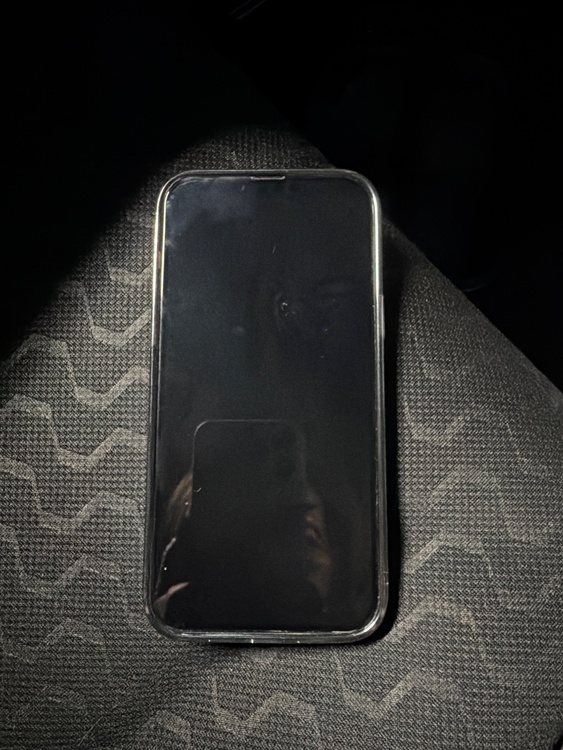 iPhone iPhone 13 Pro Max 256GB au（スマホ）の商品画像 - 査定依頼日：2026年7月5日 - 最高査定価格：62,000円