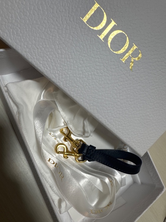 ディオール  （ブランドバッグ）の商品画像 - 査定依頼日：2026年4月8日 - 最高査定価格：80,000円