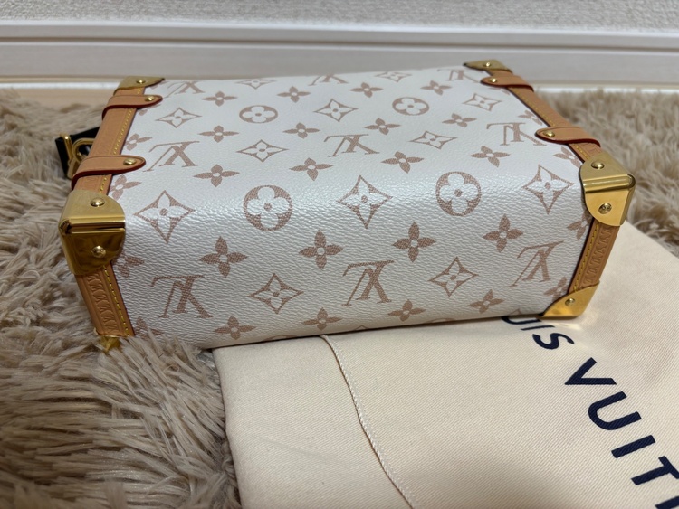 ルイヴィトン ルイヴィトン(その他)（ブランドバッグ）の商品画像 - 査定依頼日：2026年7月21日 - 最高査定価格：320,000円
