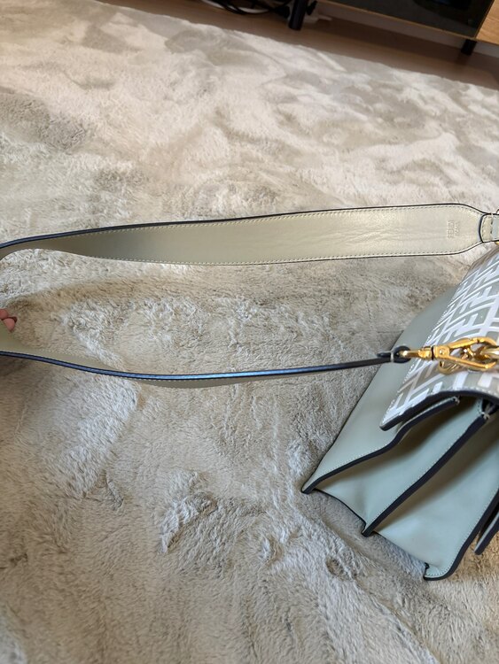 フェンディ  （ブランドバッグ）の商品画像 - 査定依頼日：2025年4月24日 - 最高査定価格：60,000円