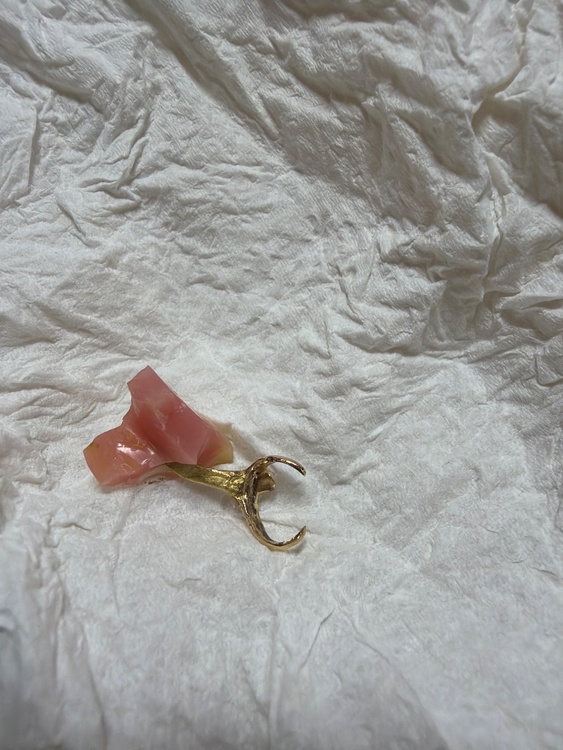 入れ歯（金・貴金属）の商品画像 - 査定依頼日：2026年1月27日 - 最高査定価格：5,000円