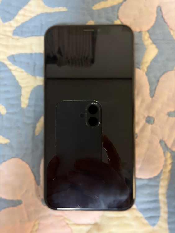 iPhone iPhoneXS 256GB docomo（スマホ）の商品画像 - 査定依頼日：2026年9月25日 - 最高査定価格：14,000円