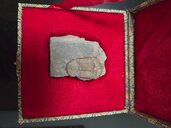 化石（美術品・骨董品）の商品画像 - 査定依頼日：2026年9月15日 - 最高査定価格：2,000円
