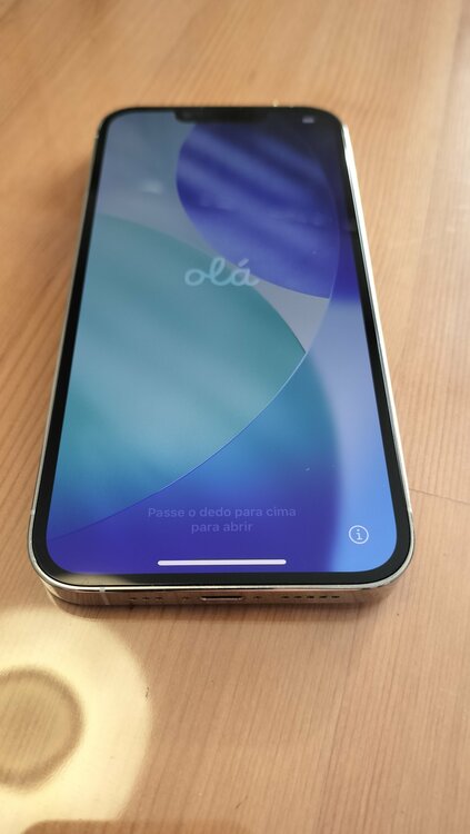 iPhone 13 Pro 256GB SIMフリー（スマホ）の商品画像 - 査定依頼日：2026年1月27日 - 最高査定価格：53,000円