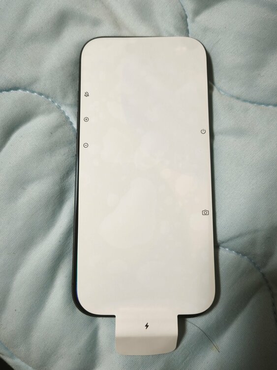 iPhone iPhone 17 256GB Softbank（スマホ）の商品画像 - 査定依頼日：2026年7月3日 - 最高査定価格：113,000円
